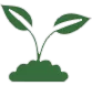 Plant Icon Aspect Ratio 80 76