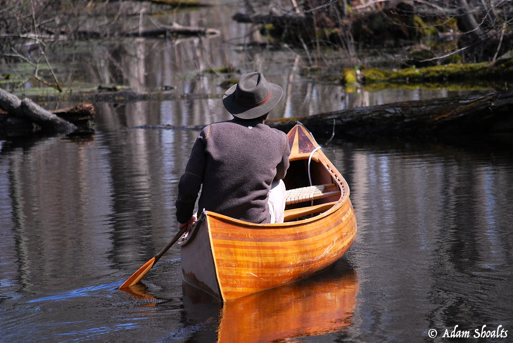 Spring Wetland