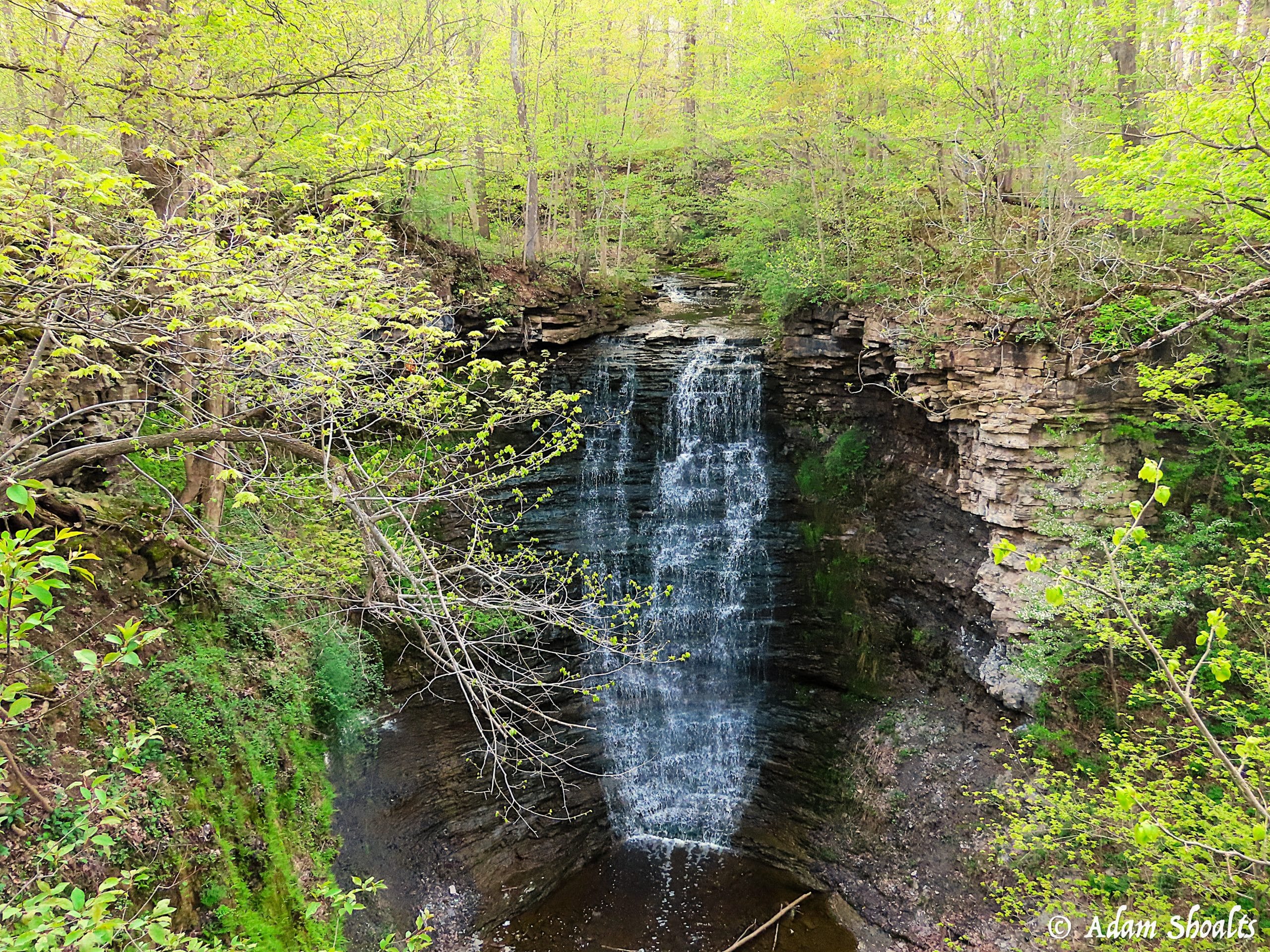 Waterfall Shorthills
