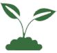 Plant Icon Aspect Ratio 80 76